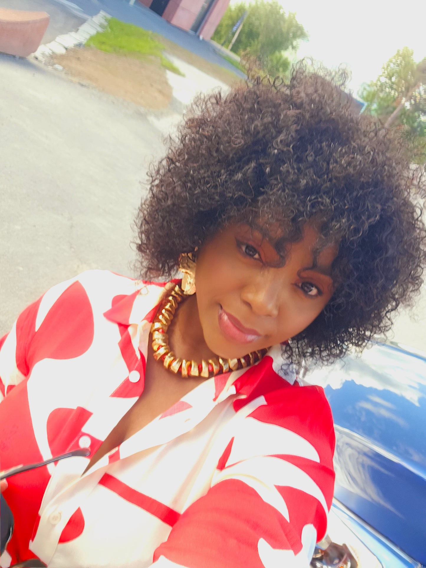 Brazilian Afro Wig
