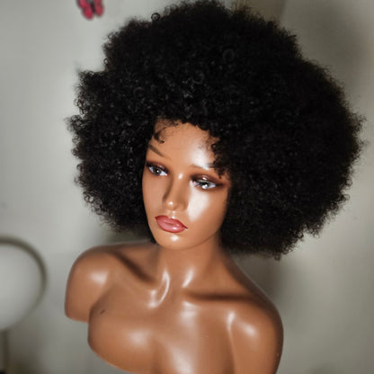 Afro Kinky Curly (Glueless Wig)