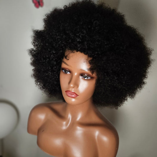 Afro Kinky Curly (Glueless Wig)