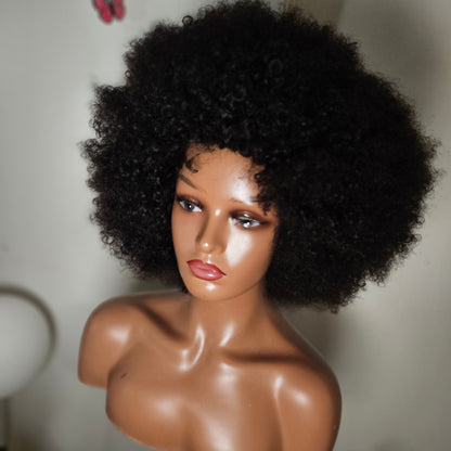 Afro Kinky Curly (Glueless Wig)