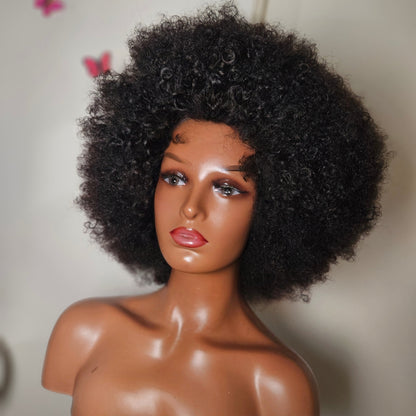 Afro Kinky Curly (Glueless Wig)