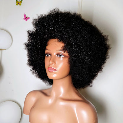 Afro Kinky Curly (Glueless Wig)