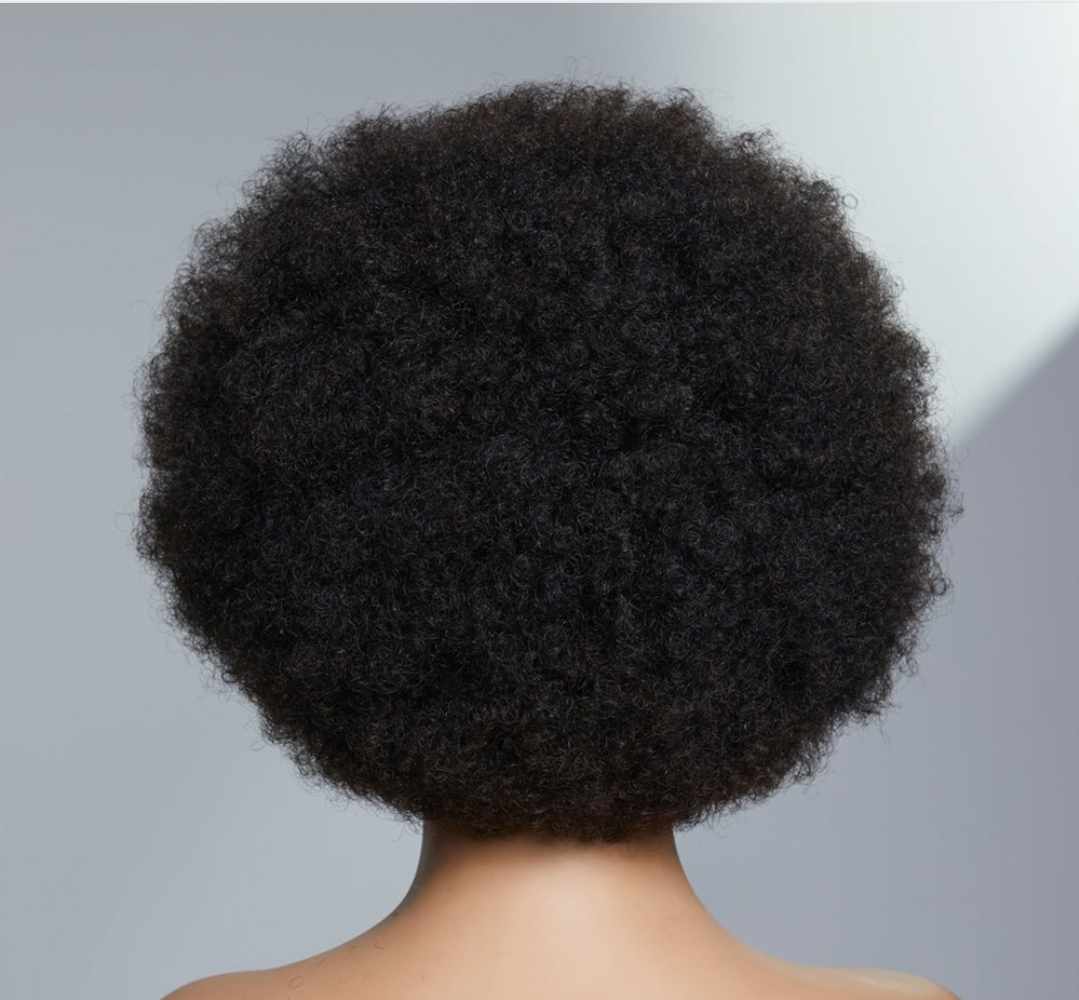 Brazilian Afro Wig