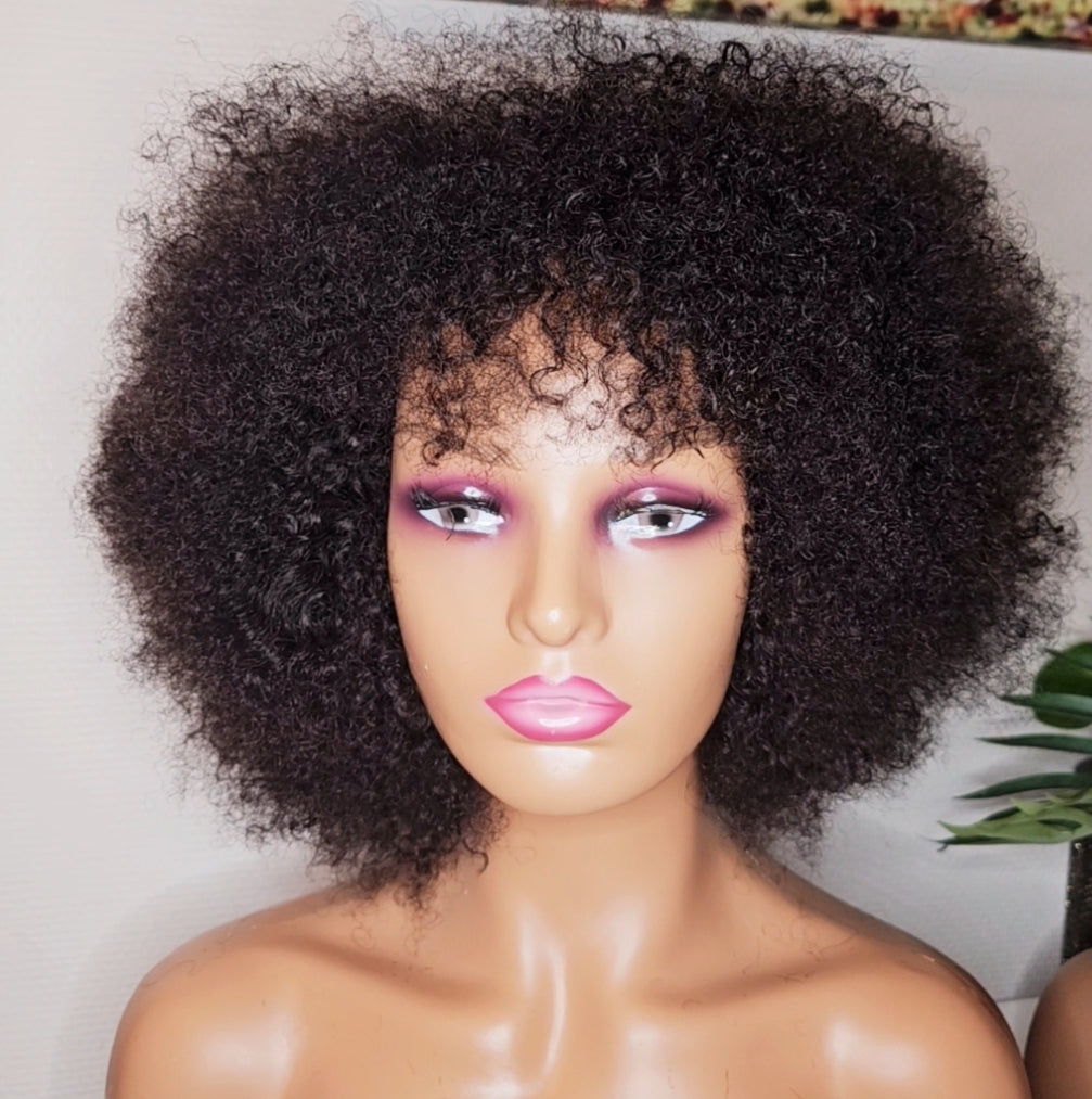 Short Curly Afro Kinky Wig